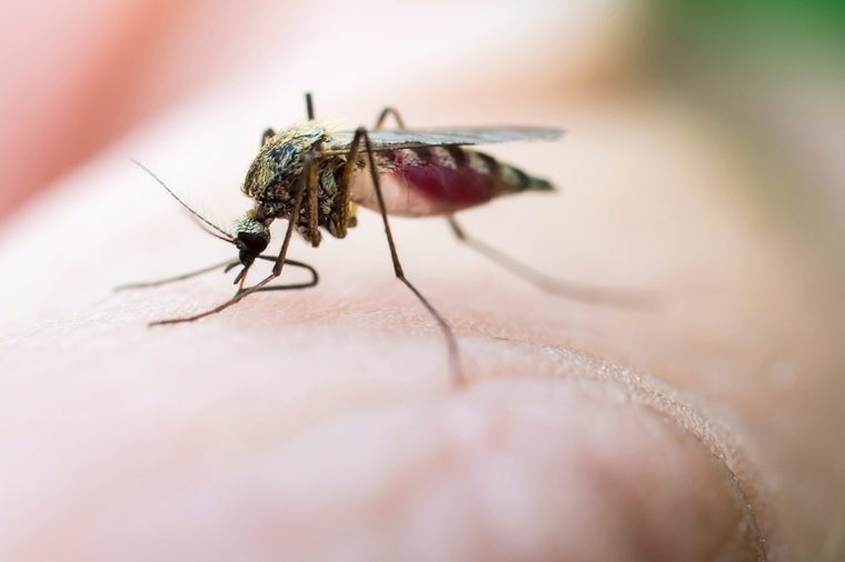 10 mẹo giúp bạn không bị muỗi đốt trong khi ngủ